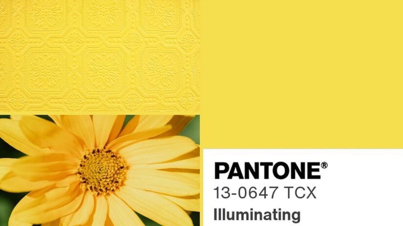 Para quem nasceu nos dias 5, 14 ou 23, a cor associada é o Illuminating (Pantone 13-0647). Regidas por Mercúrio, planeta da comunicação, essas datas carregam uma energia dinâmica, curiosa e expansiva. O tom amarelo vibrante traduz agilidade mental, criatividade e facilidade de expressão. É uma cor que simboliza a troca de ideias, o poder da palavra, falada ou escrita, e uma natureza sociável que ilumina ambientes e conexões/ Reprodução Pantone/Madison Inouye/Karola G/Canva