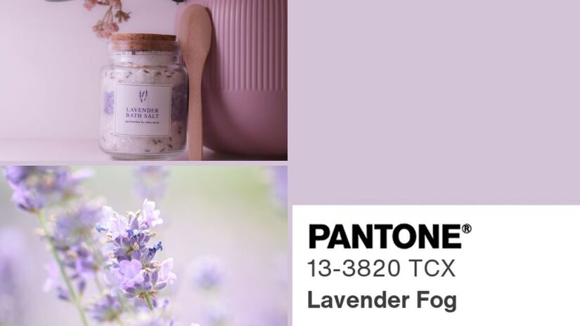 Para quem nasceu nos dias 7, 16 ou 25, a cor associada é o Lavender Fog (Pantone 13-3820). Ligadas a Netuno, planeta da espiritualidade e da imaginação, essas datas revelam pessoas intuitivas, sensíveis e sonhadoras. O tom suave traduz uma energia etérea e artística, refletindo empatia profunda, imaginação fértil e uma forte conexão com o mundo emocional e simbólico/ Reprodução Pantone/Muskan Verma/Mopfi/Canva