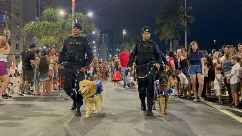 Desfile conta com 21 alas e mais de 500 participantes em uma noite histórica para a Cidade/Divulgação
