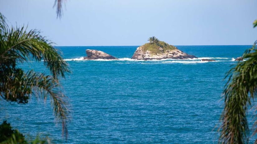 O programa capacitou 150 profissionais do setor náutico e promove passeios responsáveis/Divulgação