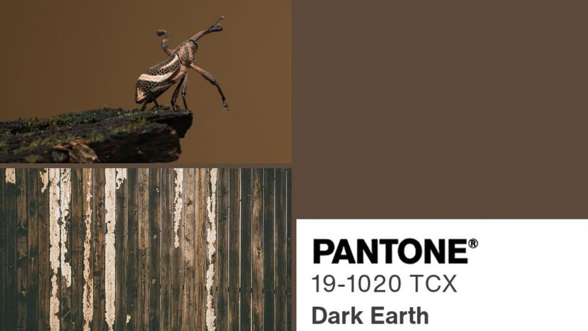 Para quem nasceu nos dias 8, 17 ou 26, a cor associada é o Dark Earth (Pantone 19-1020). Profundo e enraizado, esse tom terroso dialoga com a sabedoria de quem carrega uma essência madura e consistente. Ele simboliza resiliência, firmeza e determinação, além de refletir a importância da disciplina e do senso de responsabilidade. Regidas por Saturno, planeta do tempo e das estruturas, essas pessoas tendem a construir conquistas sólidas e duradouras a partir de sua força interior/ Reprodução Pantone/Tiểu Bảo Trương/Tim Mossholder/Canva