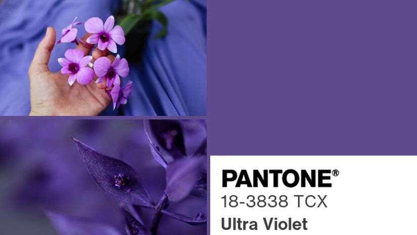 Quem nasce em fevereiro carrega uma aura quase etérea e fora do comum. Seja um aquariano criativo ou um pisciano imaginativo, essa sensibilidade pede uma cor que expresse seu lado místico e intuitivo. O Ultra Violet, Pantone 18-3838, representa essa energia de forma elegante, marcando presença na moda, no design e na decoração/ Reprodução Pantone/Alexey Demidov/ehsan ahmadnejad/Canva