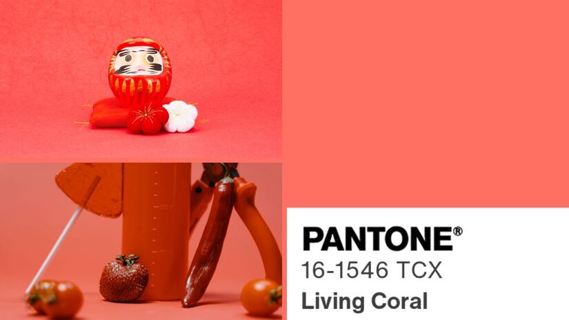 O Living Coral, Pantone 16-1546, representa com precisão a energia de quem nasce em abril. Vibrante e expressivo, o tom reflete personalidades movidas pela paixão, pelo instinto e pelo entusiasmo. Seja pela intensidade dos arianos ou pela firmeza dos taurinos, abril é um mês marcado por pessoas que nunca passam despercebidas/ Reprodução Pantone/アフロ（Aflo)/MART PRODUCTION/Canva