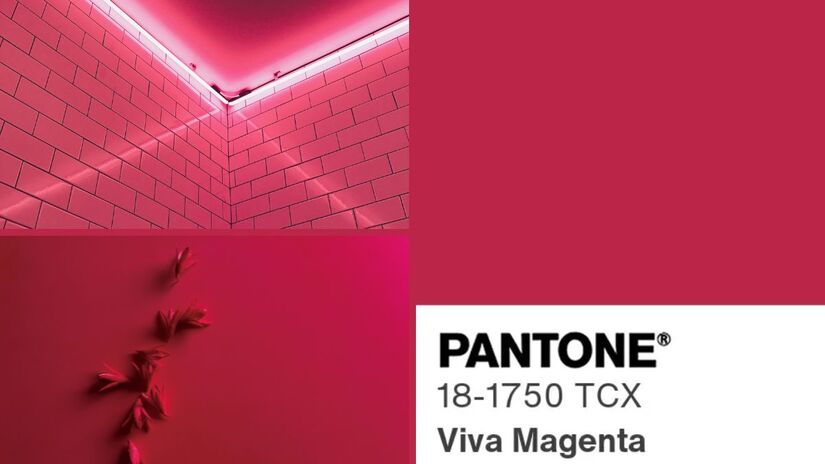 Quem nasce em julho costuma se destacar pela personalidade intensa, segura de si e pela facilidade em liderar. O Viva Magenta, Pantone 18-1750, traduz com precisão essa energia marcante. Seja na sensibilidade apaixonada dos cancerianos ou no carisma dos leoninos, esse tom expressa vitalidade, entusiasmo e força emocional/ Reprodução Pantone/Megan Forbes/le john/Canva