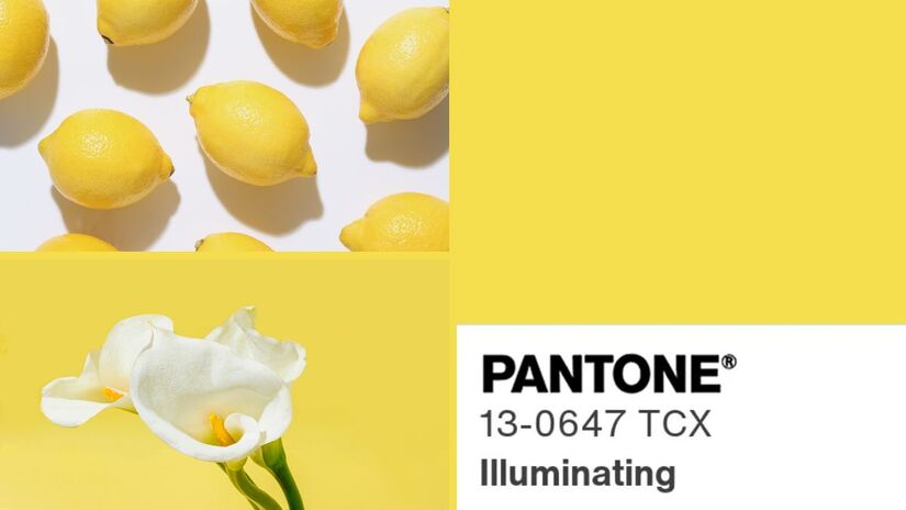 Quem faz aniversário em agosto carrega uma energia intensa e luminosa, assim como o Illuminating Yellow, Pantone 13-0647. Radiante como o sol, esse tom traduz a natureza calorosa, expressiva e acolhedora dessas pessoas, que incentivam a autenticidade e deixam todos ao redor mais à vontade, sejam leoninos ousados ou virginianos atentos/ Reprodução Pantone/Chola Tolentino/le john/Canva