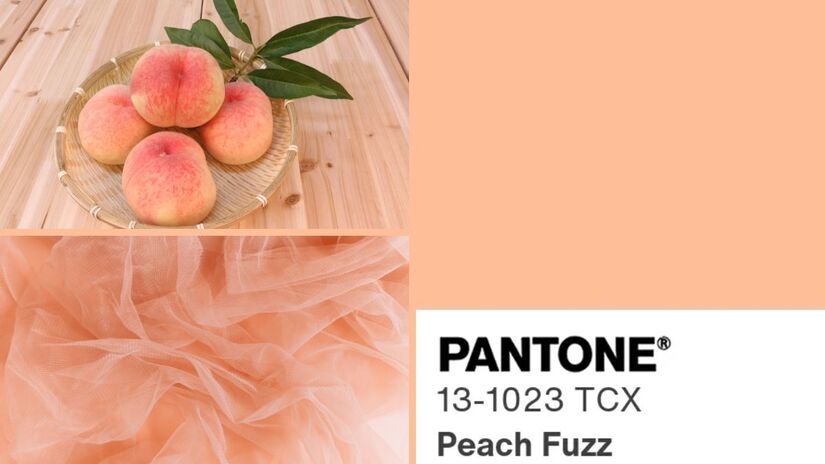 Quem nasce em outubro tende a ter uma natureza afetuosa e serena, assumindo com facilidade o papel de mediador nas relações. O Peach Fuzz, Pantone 13-1023, simboliza charme, suavidade e diplomacia. Seja entre librianos sociáveis ou escorpianos mais perceptivos, esse tom traduz sensibilidade e uma elevada inteligência emocional/ Reprodução Pantone/mongsang2014/Antoni Shkraba Studio/Canva