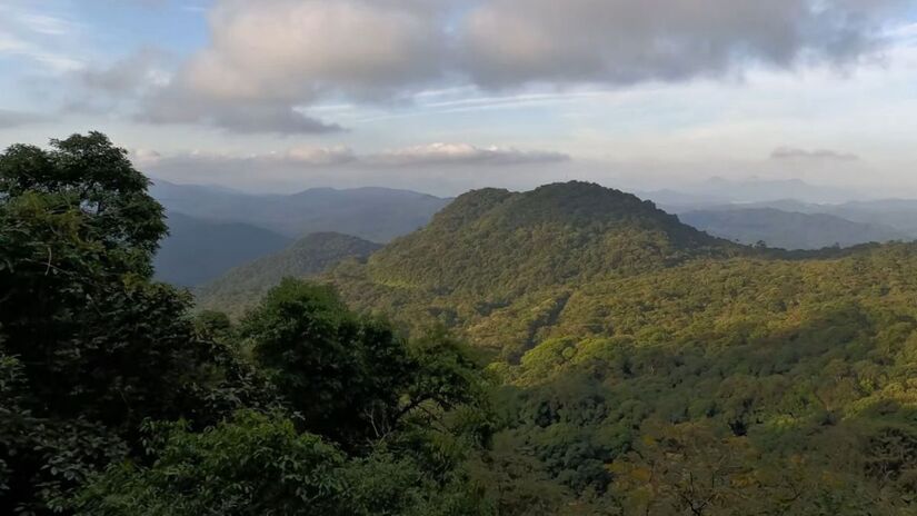 A viagem é operada pela Serra Verde Express e já recebeu mais de 200 mil passageiros apenas neste ano
