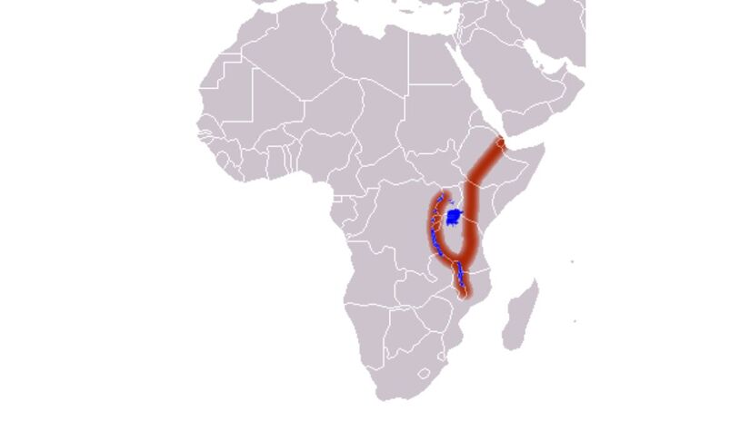Visualização do Rift Africano Oriental destaca a área onde a crosta do continente está sob maior tensão geológica/ En rouge/Wikimedia Commons
