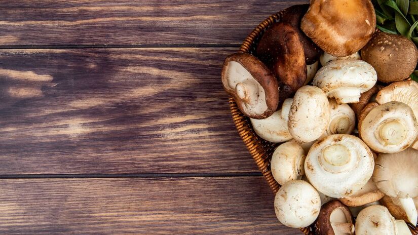 A diversificação agrícola fortalece o setor e reduz riscos econômicos / Freepik/stockking