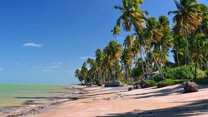5. Praia do Espelho (BA):
Em Trancoso, é considerada uma das mais bonitas do Brasil. Na maré baixa, forma piscinas naturais e um efeito de espelho na água que encanta toda a família. A paisagem é protegida por falésias coloridas. Divulgação