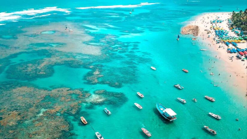 Optar por excursões autorizadas e com acompanhamento de guias, para minimizar qualquer interferência no comportamento dos golfinhos/Divulgação Prefeitura