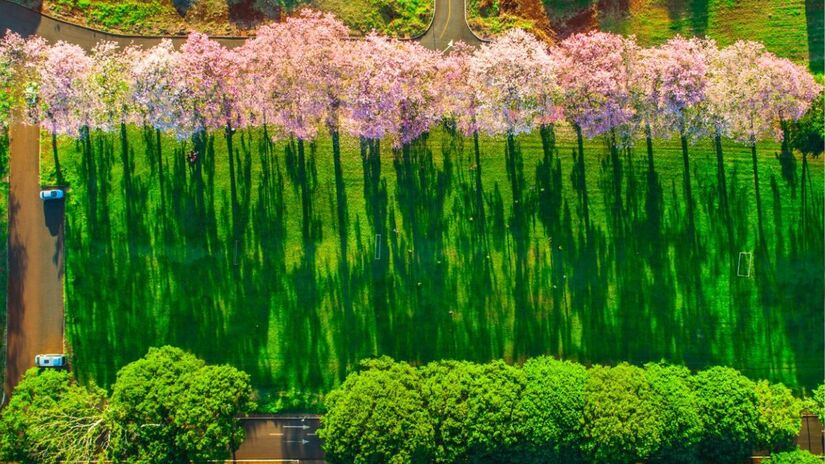 A conscientização ambiental da população reforça as políticas públicas de limpeza e preservação dos espaços urbanos/ Thiago Louzada