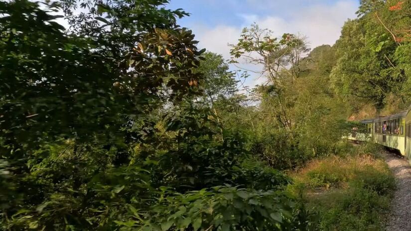 Chegar a Morretes é o bônus final, onde a gastronomia local, famosa pelo tradicional Barreado, aguarda os viajantes