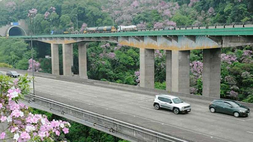 Ecovias/Divulgação