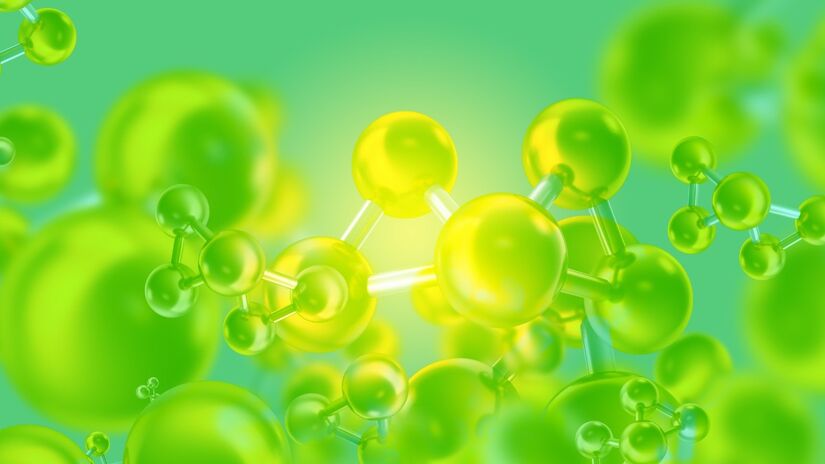 A berberina atua no metabolismo ajudando a regular os níveis de glicose no sangue / Pixabay
