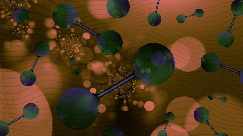 No organismo, a berberina influencia enzimas ligadas ao equilíbrio energético das células / Pixabay
