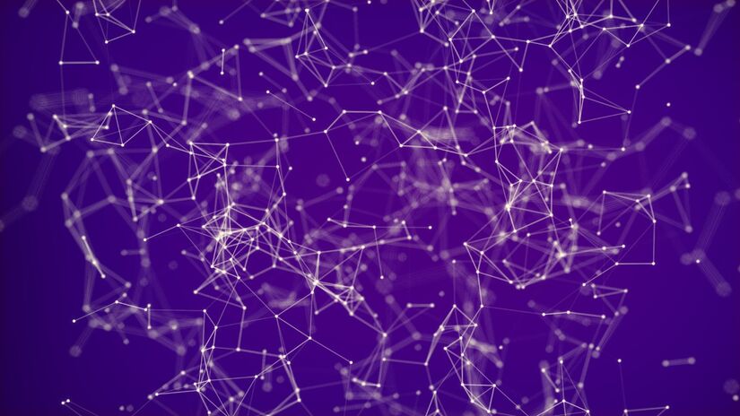 Estudos indicam que a berberina pode apoiar a saúde cardiovascular ao atuar no controle de lipídios / Pixabay
