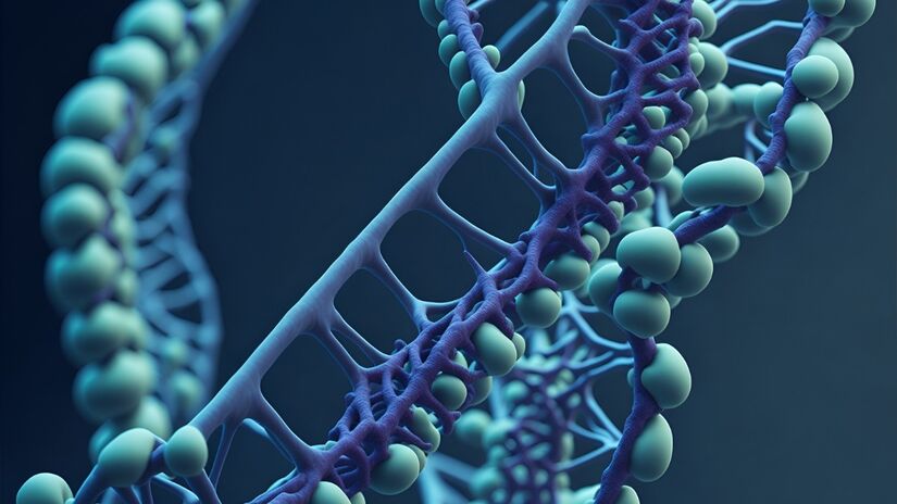 Sua ação no corpo está ligada a mecanismos naturais de regulação metabólica e inflamatória / Pixabay