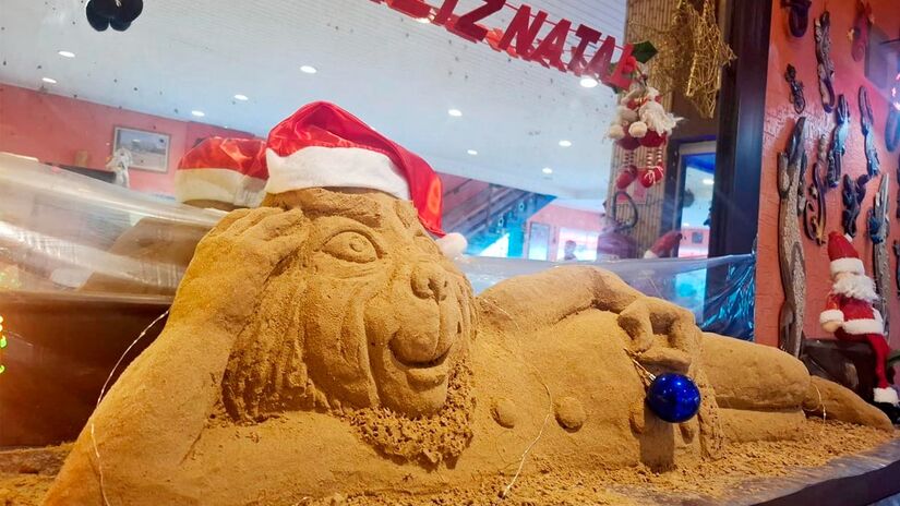 Renata explica que escolheu o personagem do filme infantil "O Grinch" por ser um tema interessante e que leva à reflexão nesta época de Natal (Nair Bueno/DL)