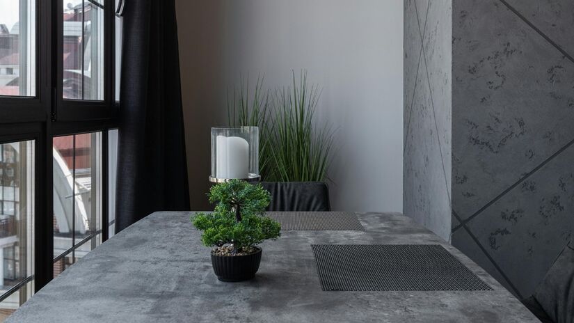 Espécies verdes simbolizam crescimento, renovação e vitalidade dentro de casa / Pixabay
