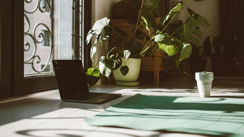 Plantas saudáveis atraem boas vibrações e fortalecem a energia positiva do lar / Pixabay
