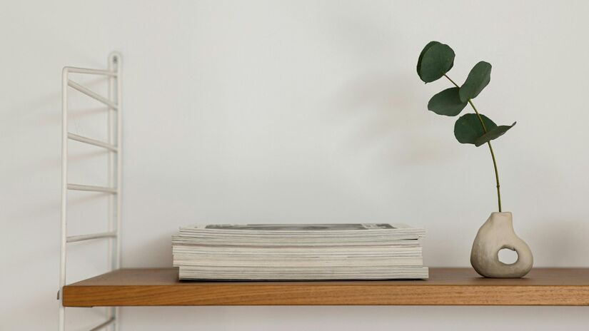 Ambientes com plantas vivas tendem a ter circulação de energia mais leve e fluida / Pixabay
