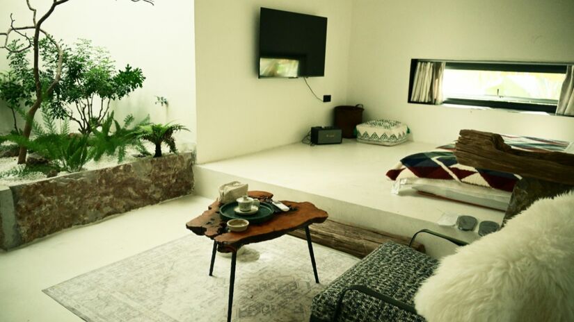 O Feng Shui recomenda plantas de folhas arredondadas, por transmitirem suavidade e acolhimento / Pixabay
