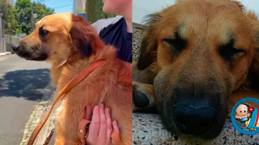 Instagram / @colegiolyon