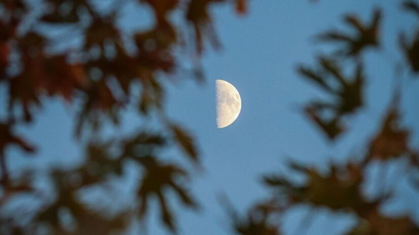 As fases da Lua mudam a cada 7 dias, em média, devido à alteração na posição relativa entre Terra, Sol e Lua. O ciclo completo leva cerca de 29,5 dias/Pexels