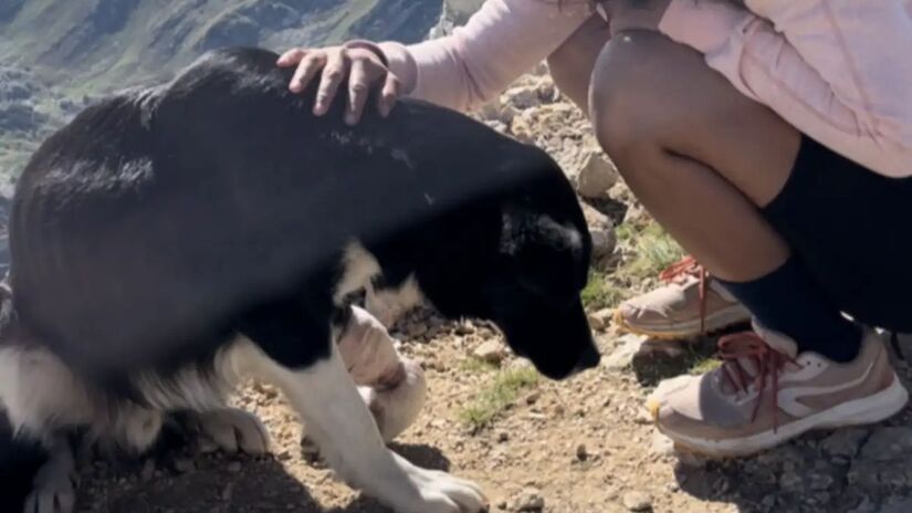 Her&oacute;is das alturas: a jornada de Maxime e Issy para salvar Bobo, o cachorro que esperava pela morte no topo de um desfiladeiro/Instagram