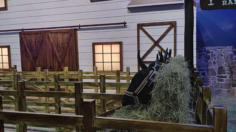 A idade mínima da brincadeira é de 16 anos/Gabriel Fernandes/DL