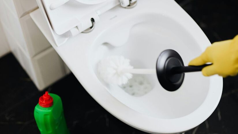 Uma gota do spray natural (água, álcool e óleo essencial) neutraliza o odor de urina na hora e deixa o ambiente perfumado/Pexels