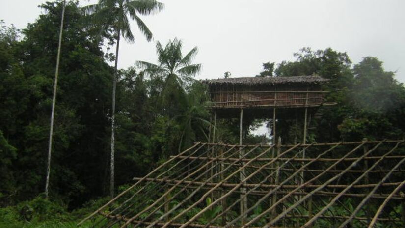 O povo Korowai mantém tradições únicas vivendo em casas construídas no alto das árvores /  ~/Wikimedia Commons