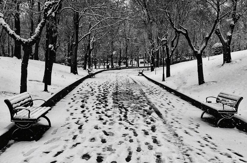 Seul combina invernos frios e secos com ver&otilde;es quentes e &uacute;midos, refletindo a for&ccedil;a das mon&ccedil;&otilde;es asi&aacute;ticas (pexels)