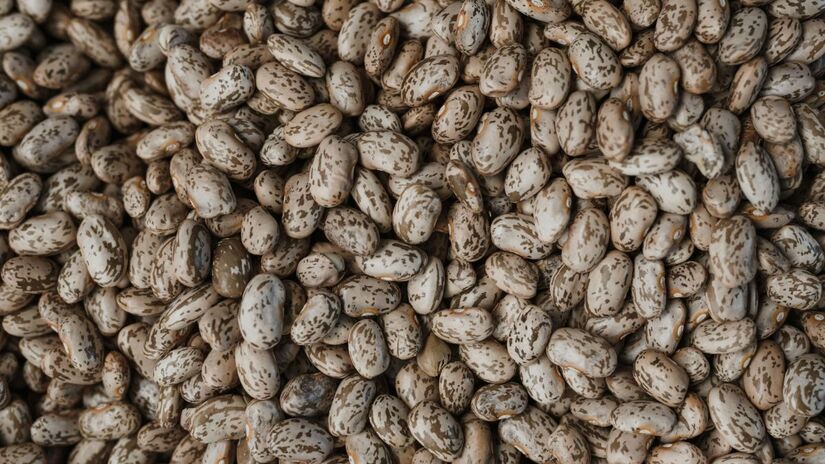 O inchaço abdominal causado pelo feijão ocorre devido aos oligossacarídeos que são carboidratos complexos que o corpo humano não possui enzimas para digerir. Ao chegarem intactos ao intestino grosso esses compostos sofrem fermentação bacteriana resultando na produção de gases como hidrogênio e metano/Pexels