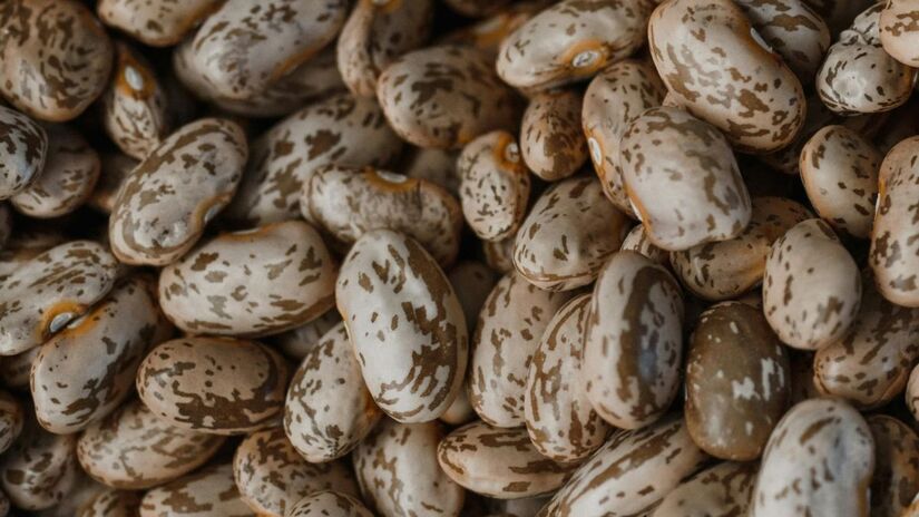 Diferente da transgenia tradicional a técnica CRISPR permite que os cientistas da Embrapa realizem cortes precisos no DNA do grão para silenciar apenas os genes responsáveis pelos carboidratos indesejados. Isso garante que a planta continue produzindo ferro e proteínas sem carregar o fator que causa o mal-estar/Pexels