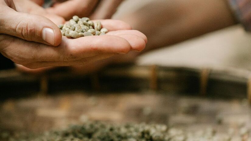 Os testes laboratoriais indicam que o feijão editado geneticamente mantém a mesma textura e o caldo grosso apreciado pelos brasileiros. A modificação é focada exclusivamente na digestibilidade garantindo que o alimento continue sendo uma das fontes mais baratas e completas de nutrientes para a população/Pexels