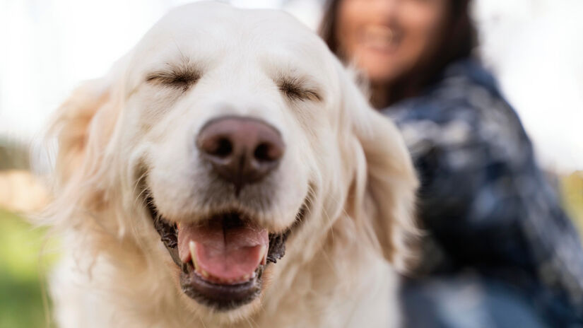 As descobertas também abrem portas para novas abordagens na ciência / Freepik