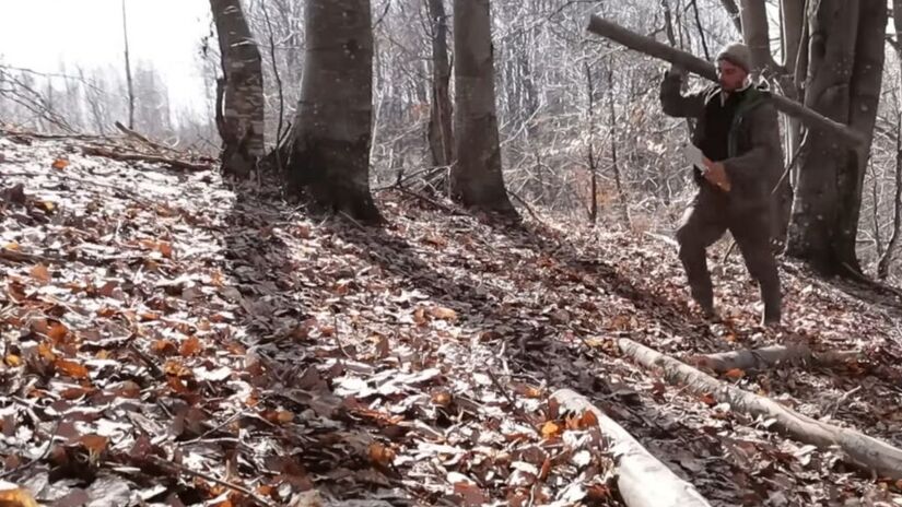 Entre as camadas de barro, o uso de musgo vivo atua como um selante natural, bloqueando a entrada de humidade e isolando o som exterior/Reprodução