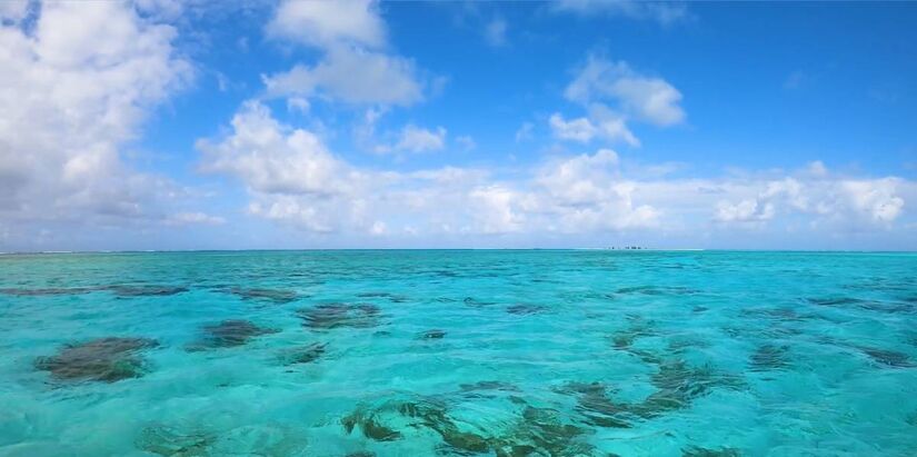 Ci&ecirc;ncia e prote&ccedil;&atilde;o lado a lado: pesquisas realizadas no Atol das Rocas ajudam a entender e preservar um dos ambientes mais puros do Brasil /Reprodu&ccedil;&atilde;o (YouTube)