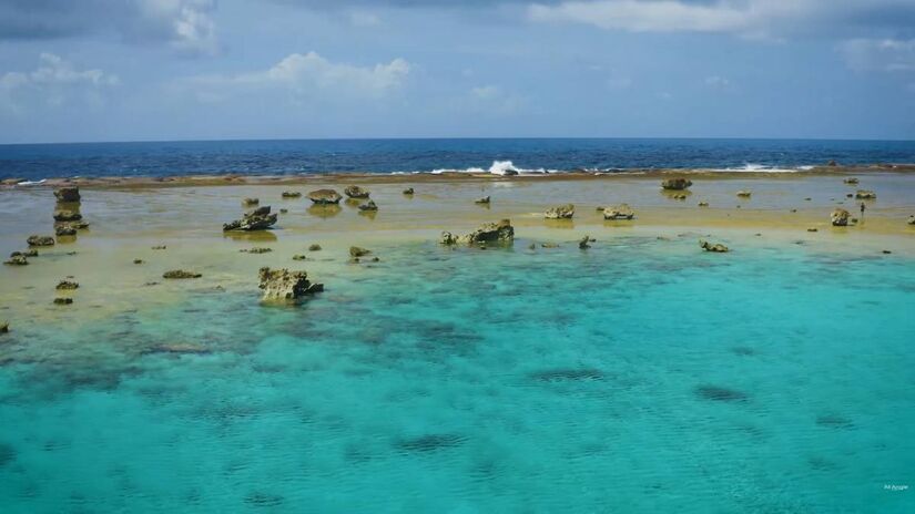 C&iacute;rculo de vida no meio do mar: recifes, aves e esp&eacute;cies marinhas encontram no Atol das Rocas um ref&uacute;gio &uacute;nico e preservado /Reprodu&ccedil;&atilde;o (YouTube)