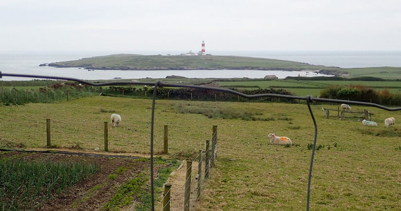 A vida por lá gira em torno das ovelhas, das paisagens preservadas e de um céu estrelado / Eirian Evans/Wikimedia Commons