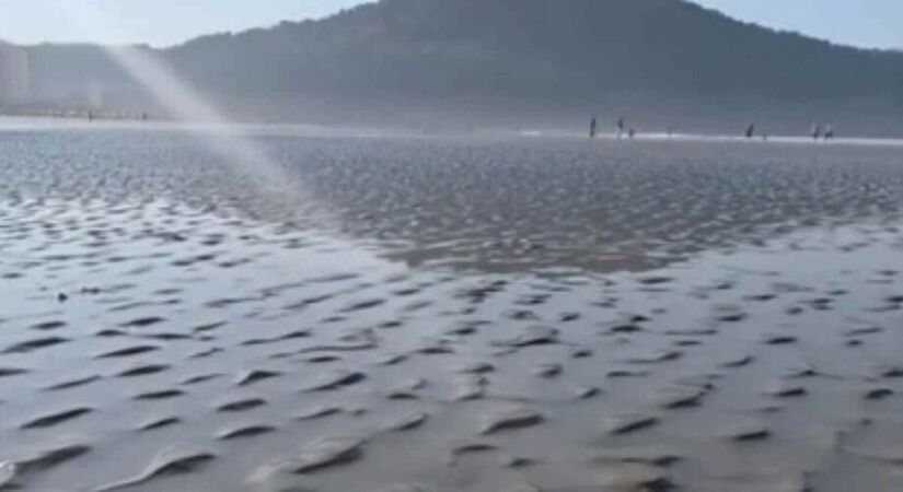 2&ordm; lugar: O fenômeno do 'mar seco' no Litoral; O recuo atípico da maré em Praia Grande assustou moradores e turistas, tornando-se o fato factual mais lido do ano com 1,72 milhão de visualizações. (Reprodução/Revista mais Santos)
