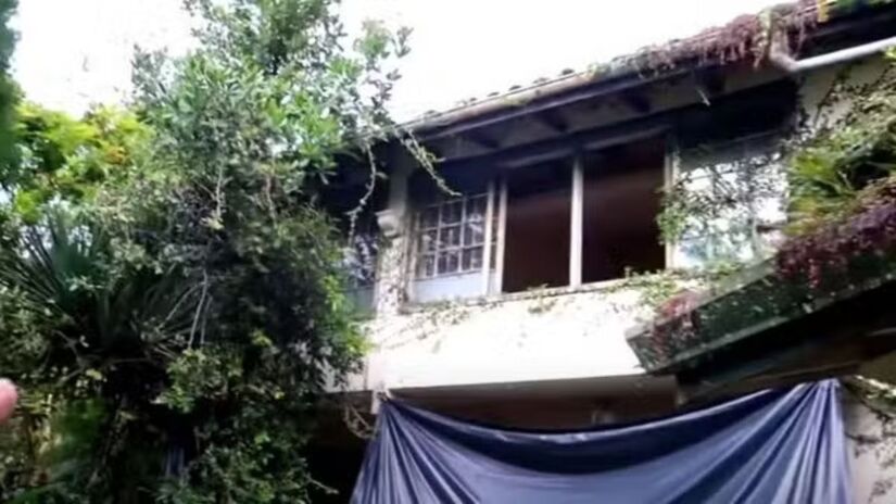 Durante o mandato, destacou-se por projetos voltados à cultura, comportamento e direitos do consumidor/Reprodução