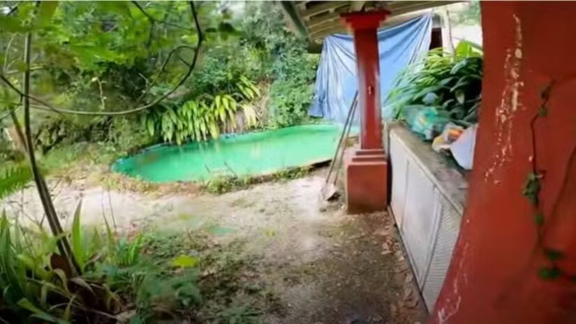 A carreira multifacetada de Clodovil reuniu moda, televisão e política, tornando-o uma das figuras mais singulares da mídia brasileira/Reprodução