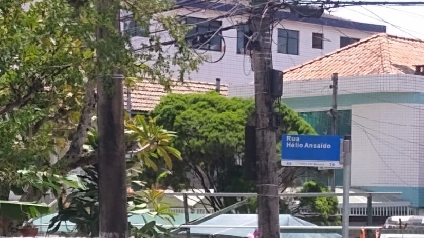 Uma árvore na Rua Hélio Ansaldo, em Santos, acabou caindo com a força dos ventos na manhã desta quarta-feira, 10 de dezembro (Reprodução)