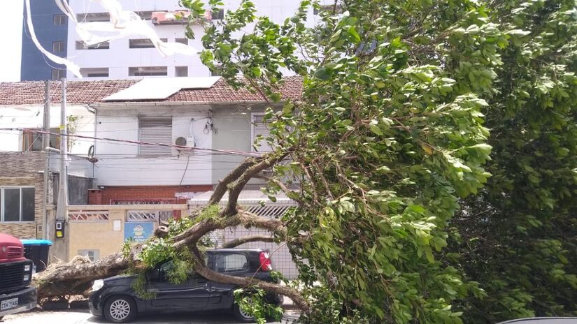 De acordo com relatos, ninguém se feriu com a queda (Reprodução)