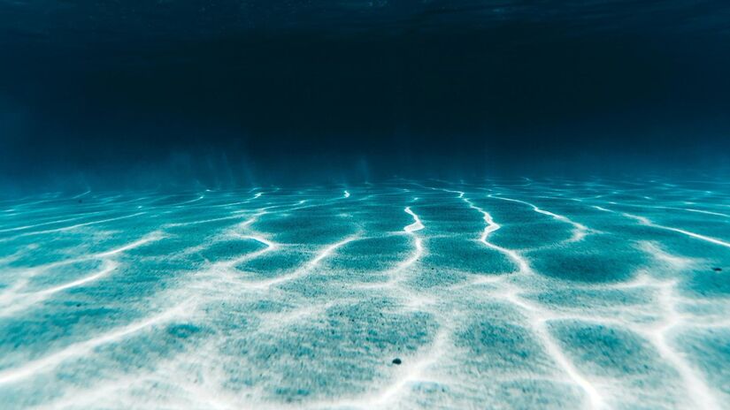 A maior parte do fundo do mar permanece inexplorada, escondendo espécies ainda desconhecidas / Pexels