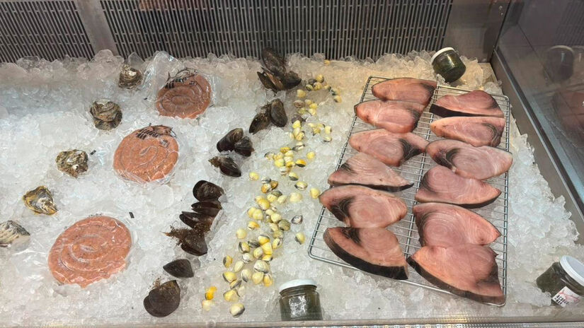 Isabella Fernandes/DL