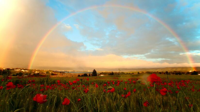 Áries + Vermelho profundo / Carta: O Imperador / O vermelho representa força, estrutura e liderança consciente. O ano pede decisões firmes e maturidade emocional, e a cor ativa o senso de direção e ajuda a transformar impulso em ação estratégica/Unsplash
